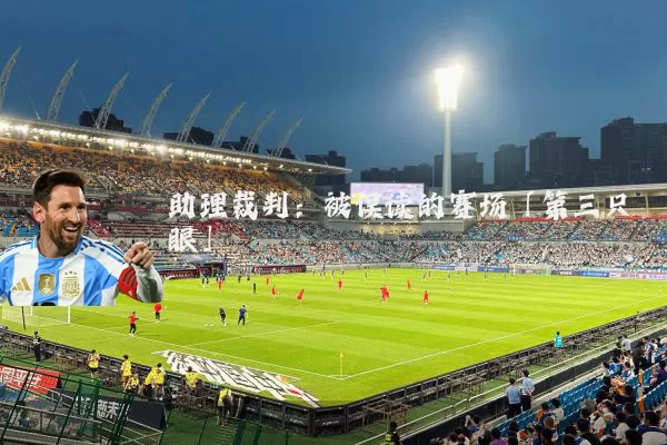 助理裁判：被误读的赛场「第三只眼」