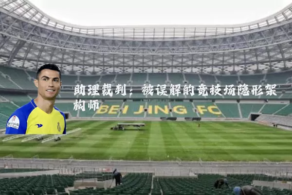 助理裁判:被误解的竞技场隐形架构师